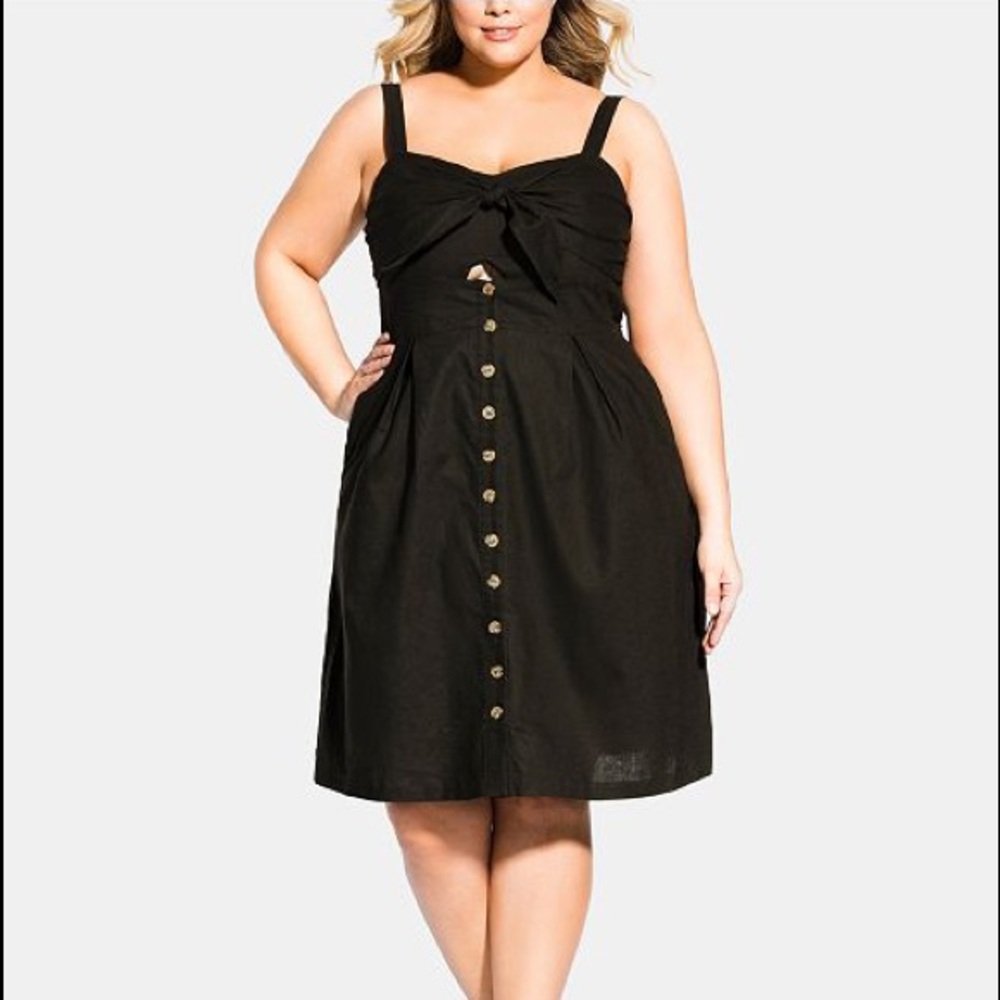 The Perfect Plus-Size Picnic Dress, NWT